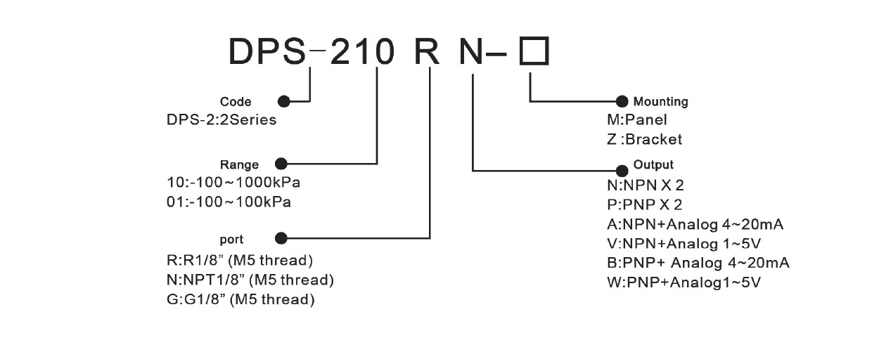 DPS-2 With Analog output