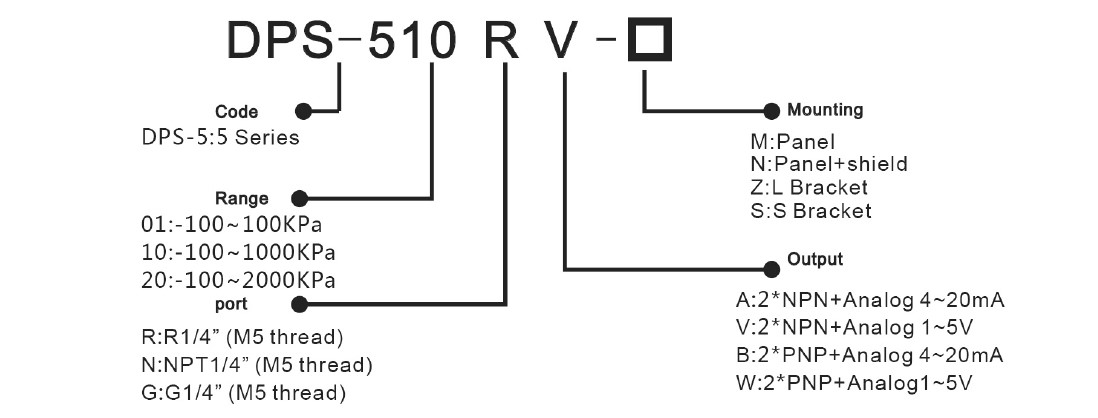 DPS-5 digital LCD display